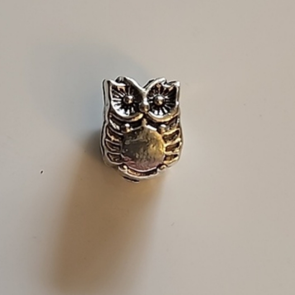 SMART  Owl  Bracelet Charm Compatable With Pandora